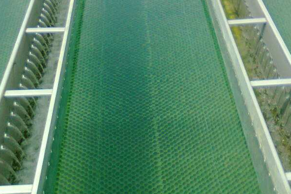 蜂窩斜管填料對舊池進行改造現場